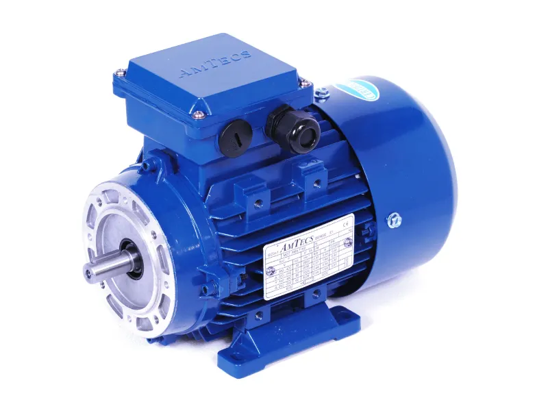 AMA-IE2 56G2 0.12kW 2 Pole 230/400V 50Hz