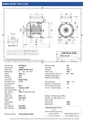 Amtecs 3kW (4HP) Single Phase Motor, 2-Pole (3000 rpm) 100 Frame B3 - Foot IE2 Datasheet