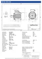 Amtecs 15kW (20HP) Three Phase Motor, 6-Pole (1000 rpm) 180 Frame B3 - Foot IE3 Datasheet