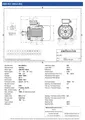 Amtecs 11kW (15HP) Three Phase Motor, 8-Pole (750 rpm) 180 Frame B3 - Foot IE3 Datasheet