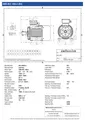 Amtecs 2.2kW (3HP) Three Phase Motor, 4-Pole (1500 rpm) 100 Frame B3 - Foot IE3 Datasheet