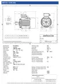 Amtecs 3kW (4HP) Three Phase Motor, 6-Pole (1000 rpm) 132 Frame B3 - Foot IE3 Datasheet