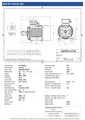 Amtecs 22kW (30HP) Three Phase Motor, 6-Pole (1000 rpm) 200 Frame B3 - Foot IE3 Datasheet